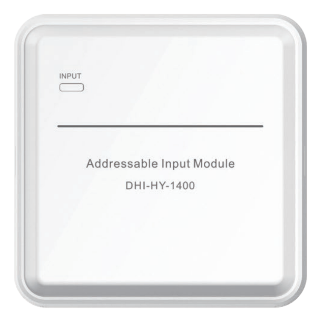 Input Model Dahua